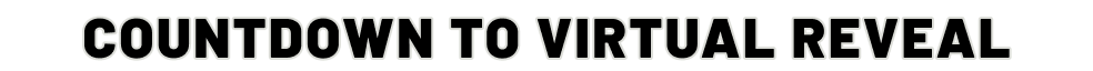Countdown to Virtual Review
